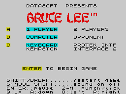 Bruce Lee1.png -   nes